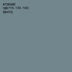 #72868E - Blue Smoke Color Image